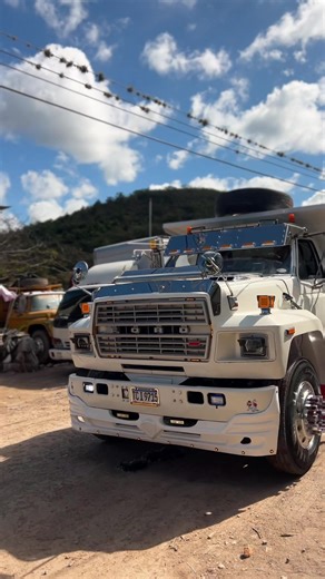 Ford Trucks Showcasing Style and Strength