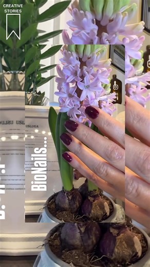 Discover Bionsils: The Art of Biosculpture Gel Nails