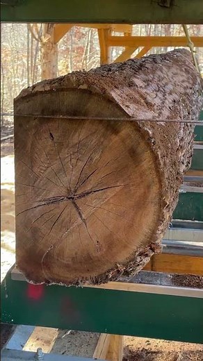 Square Your Log Once #sawmilling