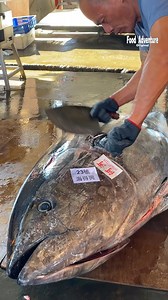 Incredible tuna master precision cuts giant bluefin tuna #TunaBreakdown #bluefintuna #fblifestyle #黑鮪魚 | Food Adventure