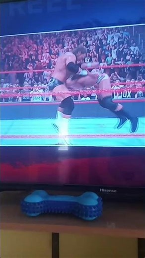 Randy Orton Vs Triple H World Heavyweight Championship Match Unforgiven 2004 #wwe