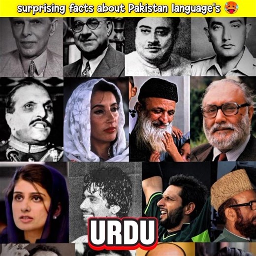 5 Surprising Facts About Pakistan’s Languages 😱#shorts#factsinurdu#language