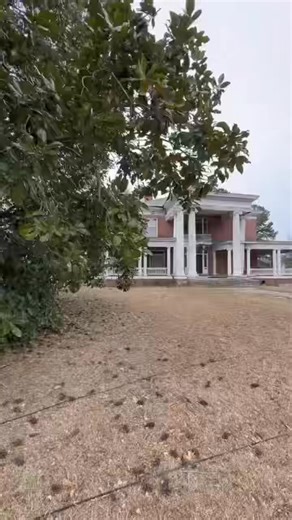 365K views · 11K reactions | A favorite old house that I first saw on Google Street view, but I’ve never been able to see the inside | A lady called Johnna | Facebook