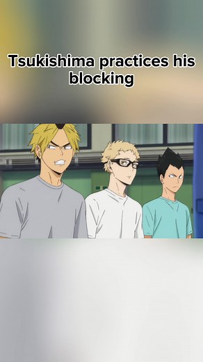 animealchemy50 on TikTok