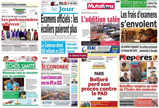 Liste des journaux camerounais : Tout comprendre sur la presse au Cameroun - Lebledparle
