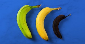 The physics of time, entropy, and death