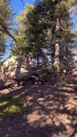 @TGR @Red Bull @Powerslide Inline Skates