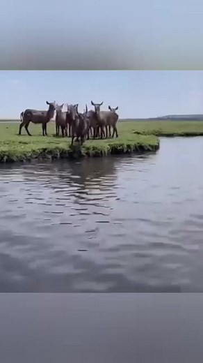 4M views · 10K reactions | Game of Survival of the fittest | SAINT ABOKI TV | Facebook