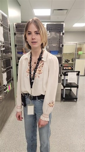 Paws For Love - Valentines Day 50% off adoption fees $10 Valentines Card Stop by the shelter today from 11am to 5pm to adopt your sweetheart! | Humane Society of Summit County