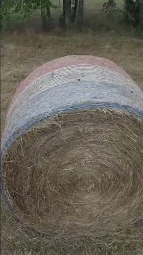 Hay Bale Handling: A Farmer's Strong Grip!
