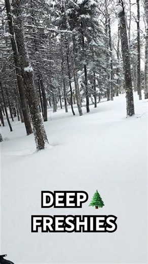 I can’t believe I got FIRST TRACKS in this DEEP POWDER #shorts #snowboarding