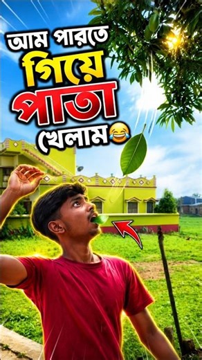 আম পাড়তে গিয়ে পাতা খেলাম! 😱🤣 #comedy#viral #minivlog #shortvideo #shortfeed