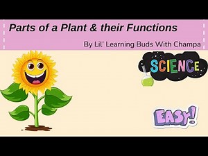 🌿🍁Plant Parts & Their Functions For Kids - Easy Science Lesson #scienceforkids