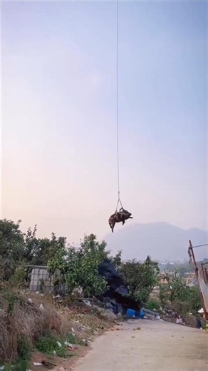 Chinese Drones Changing the World