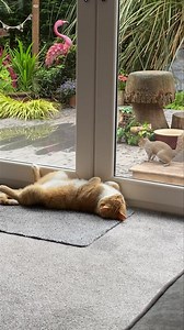 10M views · 256K reactions | Oh my  the Nut Fairy looks a bit different today has she been on the Gin again 藍❤️ Www.mrlumpyandfriends.shop/shop Worldwide postage available  | Mr Lumpy & Friends. | Facebook