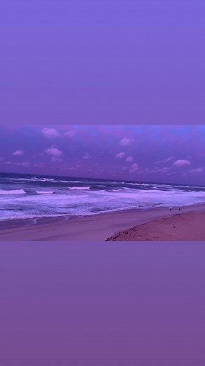 Comber update | Wellfleet Beachcomber