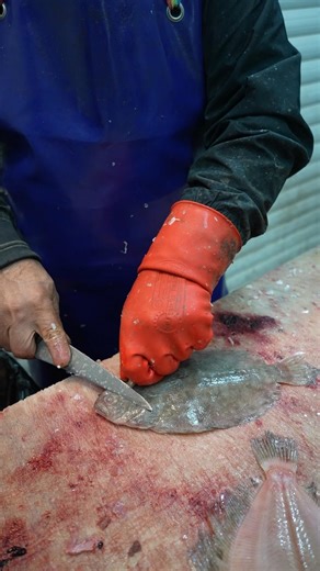STOP Ruining Your Fish! Master Skinning Like a PRO in 60 Seconds. ⏱️