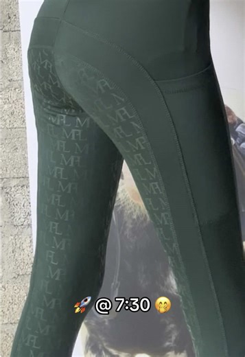 Explore the World of Equestrian Horses and Riding