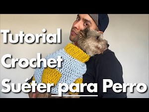 TUTORIAL de CROCHET super facil! SUETER PARA PERRO en español!