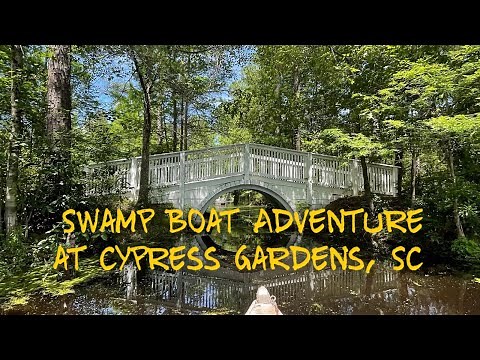 Swamp Boat Adventure at Cypress Gardens, South Carolina