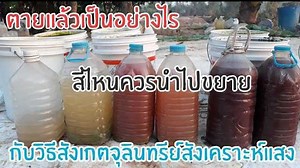 3.6K views · 190 reactions |...