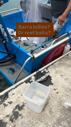 #livebait #mullet #fishing | Ryan Moody Fishing