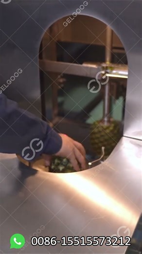 Pineapple Processing Factory