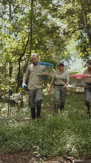 8.4K views · 162 reactions | Today, we’re proud to officially launch...