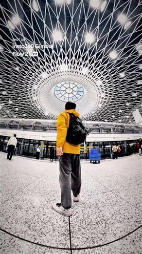 Capture the whole world in your vlogs 🌎 | Insta360 Flow 2 Pro