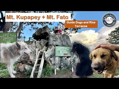 [4K] Mt Kupapey + Mt Fato With Tour Dogs | Maligcong, Mountain Province, Philippines