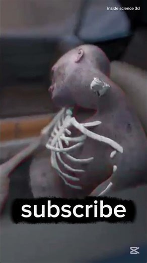 The Dark History of Car Safety: Why They Used Real Corpses! 💀🚗#CarSafety #CrashTest#shorts