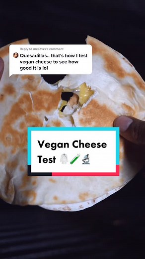 Best Vegan Cheese for Quesadillas Taste Test