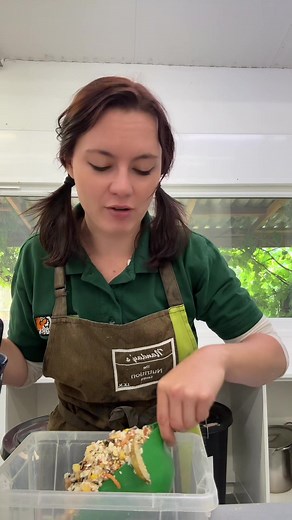 Engaging Parrot Feeding Experience at Lincolnshire Wildlife Park