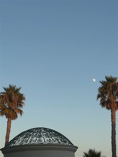 Holly Barker on Reels