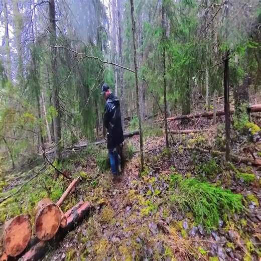 3 Days Bushcraft Camp in the Forest _ Building a Wooden Shelter _ Throne + Overnight_Part010 | Off-Grid Adventures | Facebook