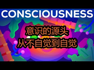 意识的源头：从不自觉到自觉 - Kurzgesagt – In a Nutshell_哔哩哔哩_bilibili