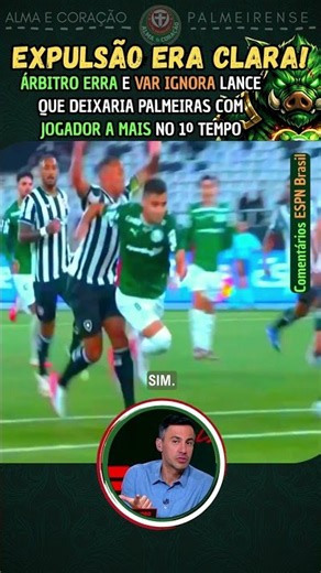 PALMEIRAS WAS GREATLY HARMED AGAINST BOTAFOGO