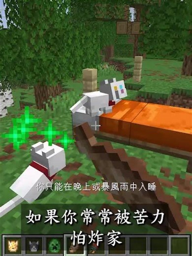【麥塊小知識】《EP12》苦力怕 怕貓?! Minecraft｜你不知道的麥塊小知識