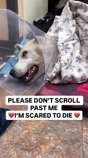 Fred is finding his voice—and that’s both hopeful and heartbreaking. 💔Less than a week ago