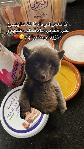 Mèmes sur le Ramadan et Recette de Salade César