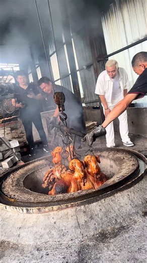 15K views · 53 reactions | Witnessing a scene like this firsthand is absolutely mind-blowing ✨ #NatureMagic | Seethee | Facebook