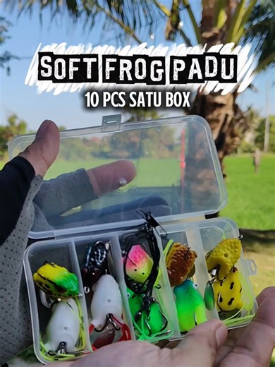 Essential Fishing Gear for Catching Soft Frogs