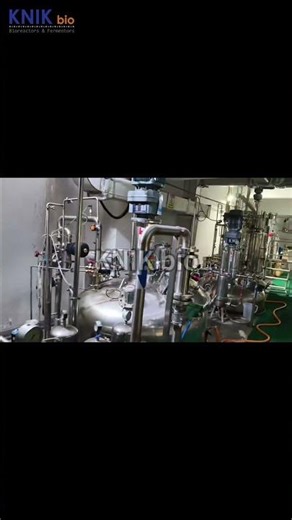 Multiple Fermentation System Solutions | Custom Bioreactor and Fermenter Systems