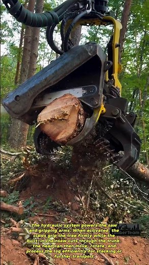 Forestry Equipment in Action 🌲💪