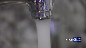 DWS: Water restriction issued for North Kohala customers