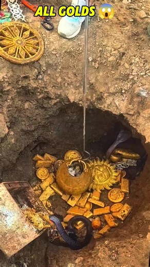 Cobra Want To Protect Treasure 😱 #gold #goldhunting #treasure #treasurehunting