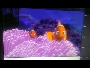 Finding Nemo Barracuda Normal