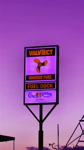 Key west Sailfish Tournament 2026 🌴 #keywest #keezymedia | Key West