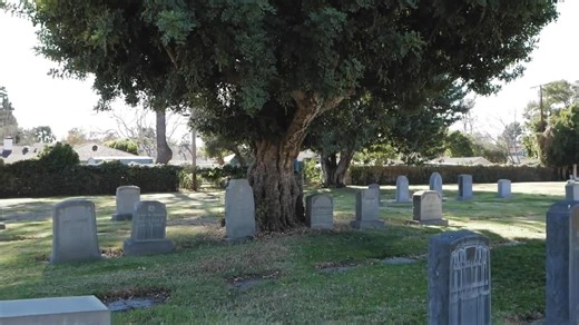 Headstone Borders, Memorial Plaque Designs, Granite Engraving, Laser Print PNG File, Digital File Packs. - Etsy