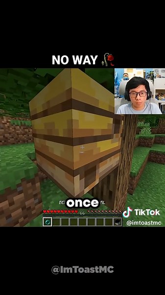 Minecraft Bee Dimension Actually Exists?? #fyp #xyzba #minecraft #minecraftmemes #minecraftviral #minecraftshorts #imtoast #imtoastminecraft